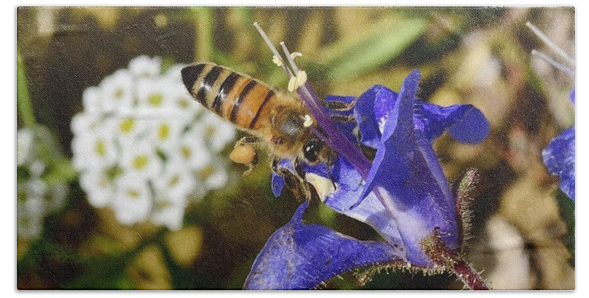 Linda Brody Bath Towel featuring the photograph Honey Bee on California Bluebell Wildflower by Linda Brody
