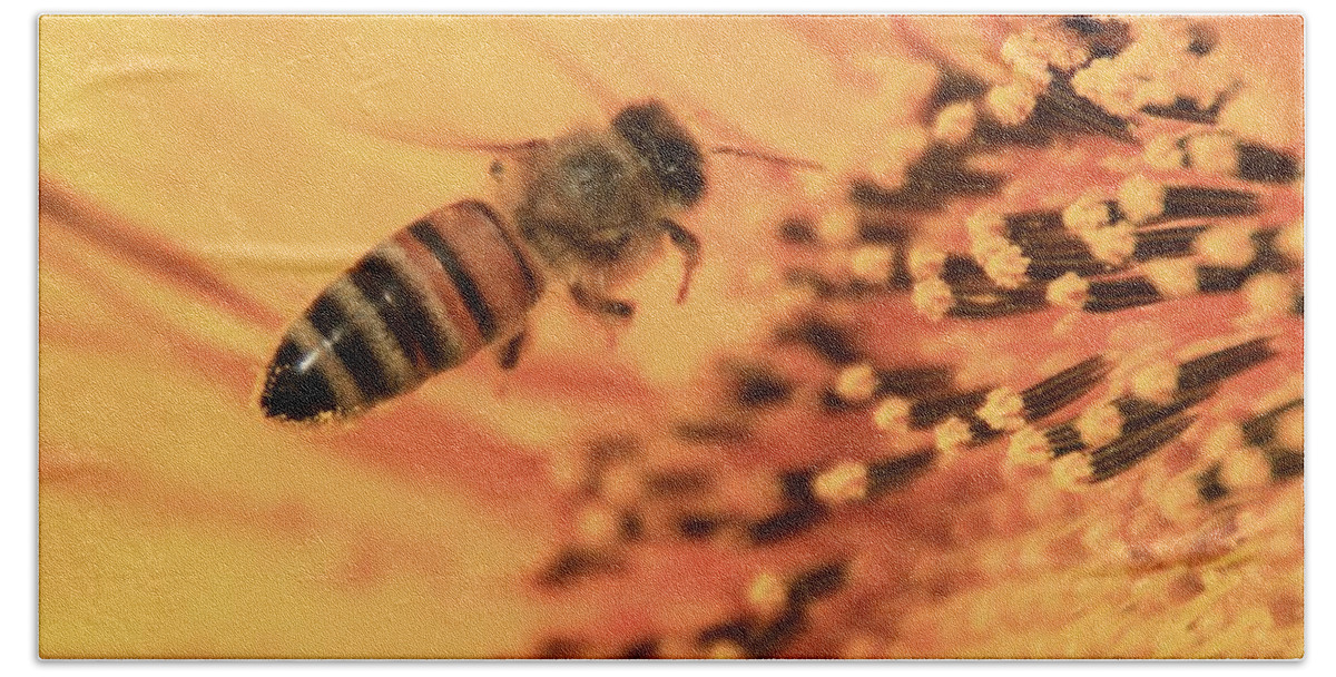 Grinter Bath Towel featuring the photograph Honeybee and Sunflower by Chris Berry