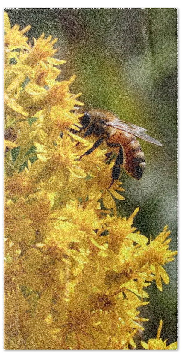 Nature Hand Towel featuring the photograph Honeybee on Showy Goldenrod by Sarah Lilja
