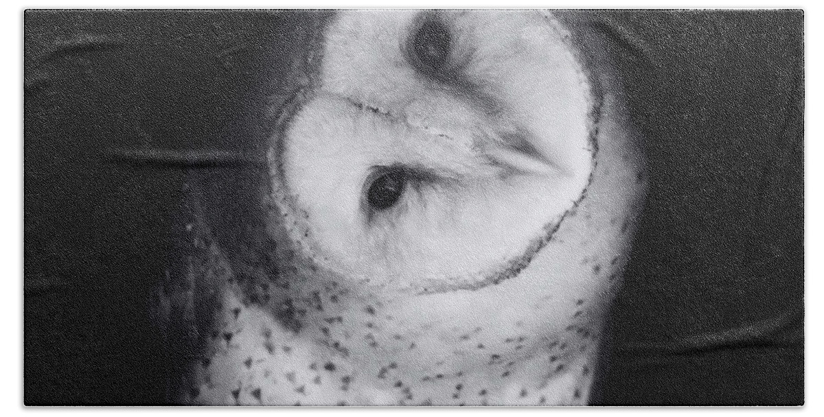 Barn Owl Hand Towel featuring the photograph Hoo Are You Barn Owl Photo by Stephanie McDowell