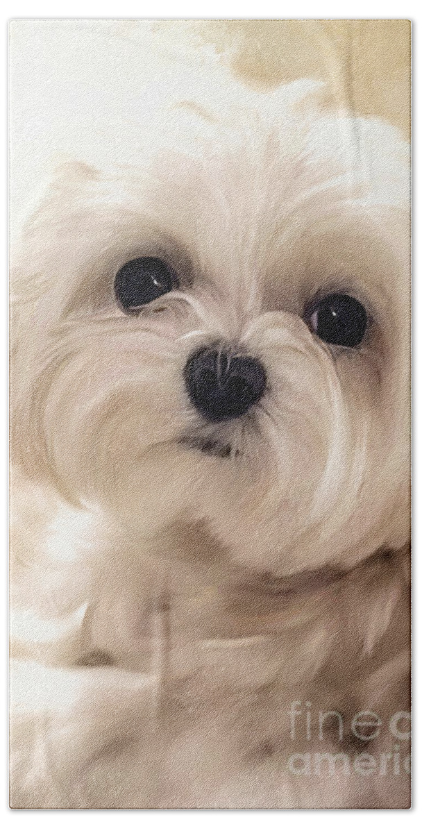 Maltese Bath Towel featuring the digital art Hoping For A Cookie by Lois Bryan