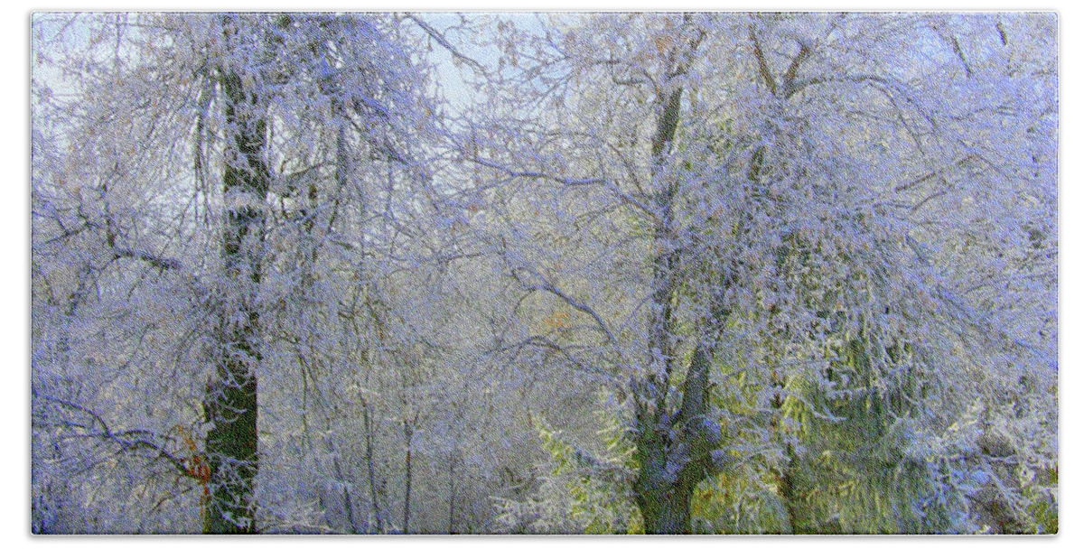 Winter Landscape Bath Towel featuring the photograph Hoping for Green by Julie Lueders 