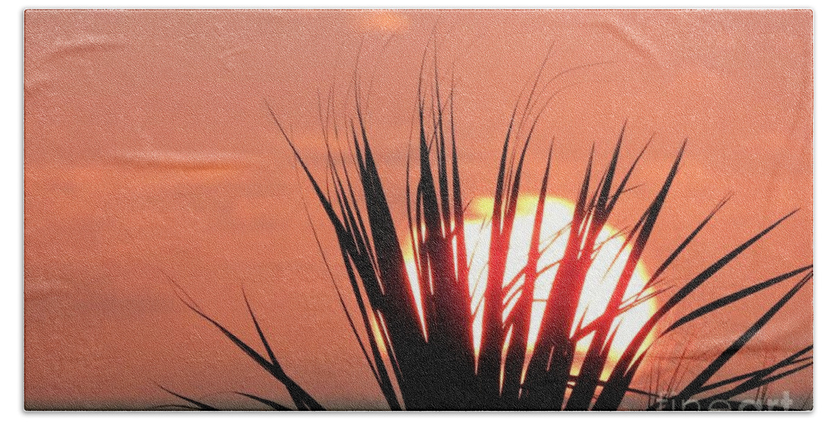 Sun Bath Towel featuring the photograph Horizon Sunrise by Jan Gelders