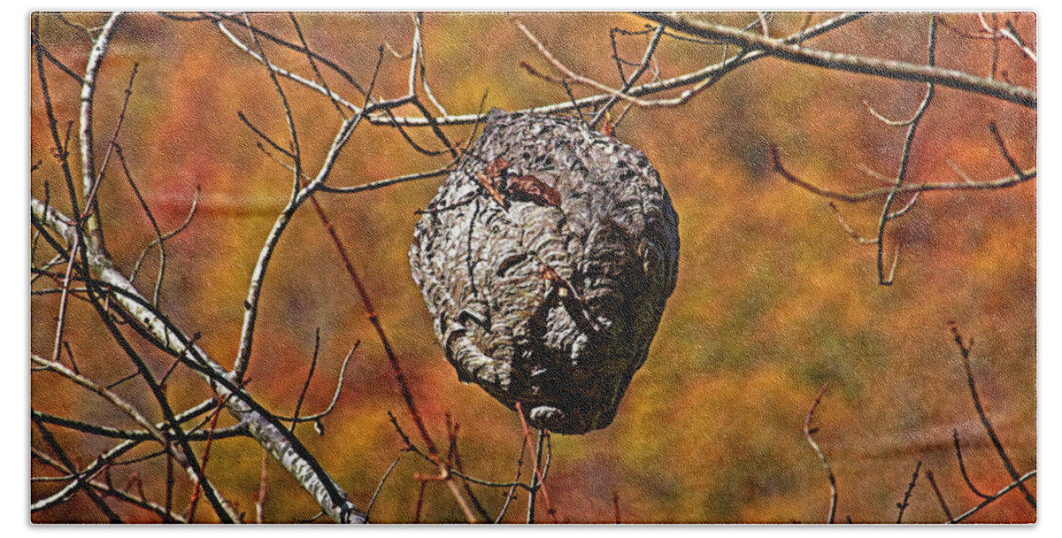 Hornet Nest Bath Towel featuring the photograph Hornet's Nest by HH Photography of Florida