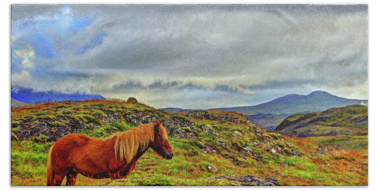 Photography Bath Towel featuring the photograph Horse and Mountains by Scott Mahon
