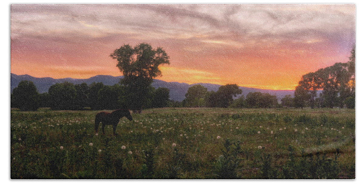 Horse Bath Towel featuring the photograph Horse at Sunset by Stacy White