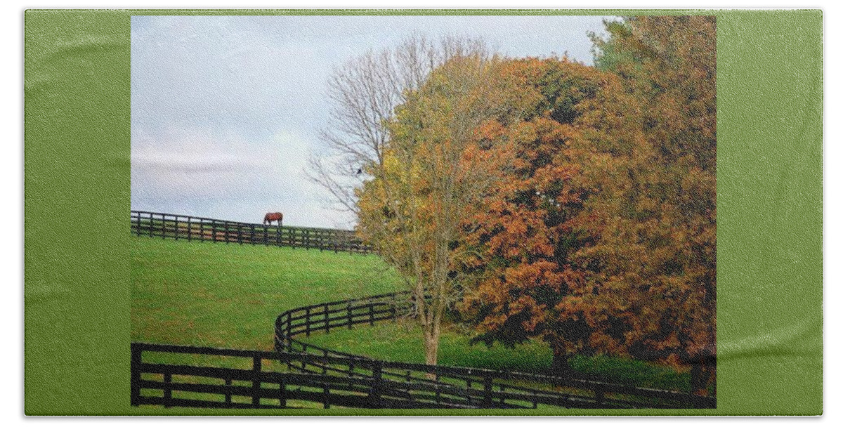 Horses Hand Towel featuring the photograph Horse Farm Country in the fall by Sumoflam Photography
