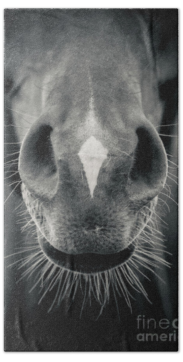 Horse Hand Towel featuring the photograph Horse head closeup Black and White by Dimitar Hristov