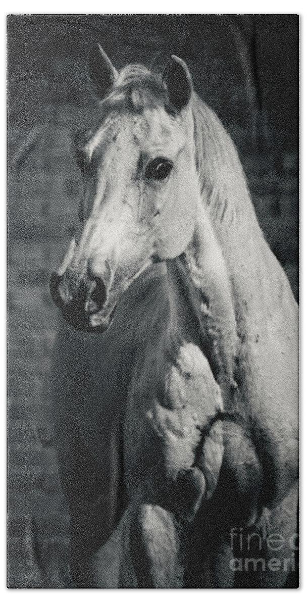 Horse Bath Towel featuring the photograph Horse portrait on the brick background II by Dimitar Hristov