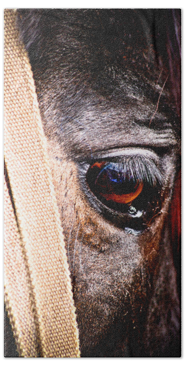 Horse Hand Towel featuring the photograph Horse Tears by Keith Allen