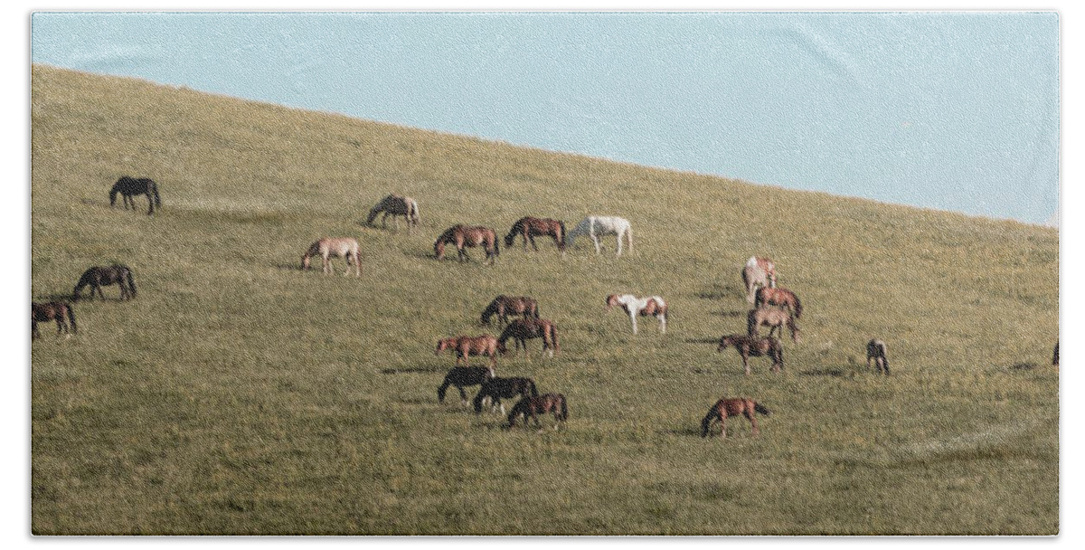 Horses Bath Towel featuring the photograph Horses On The Hill by D K Wall