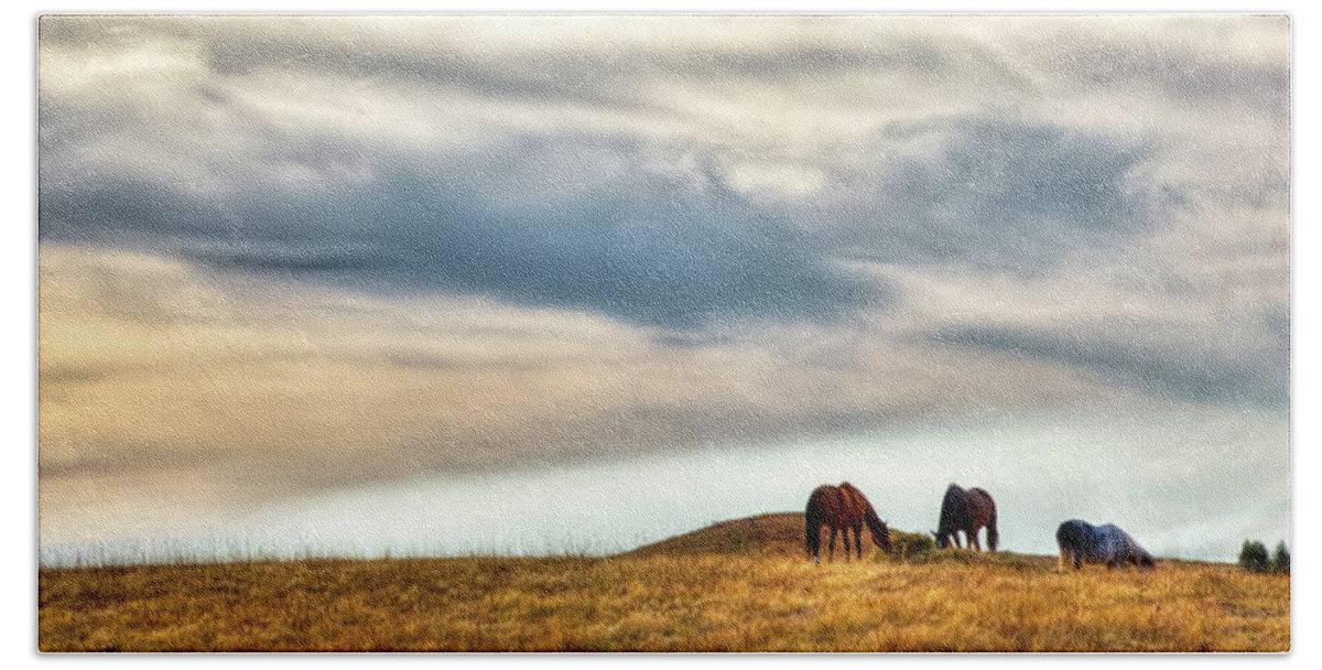 Landscape Hand Towel featuring the photograph Horses on the Palouse by David Patterson