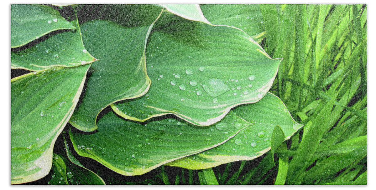 Close-up Bath Towel featuring the photograph Hostas and Grass by Nancy Mueller