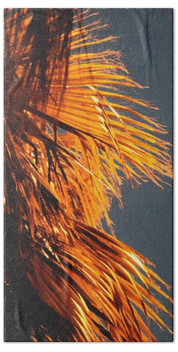Desert Hand Towel featuring the photograph Hot Air Frizzies by John Glass