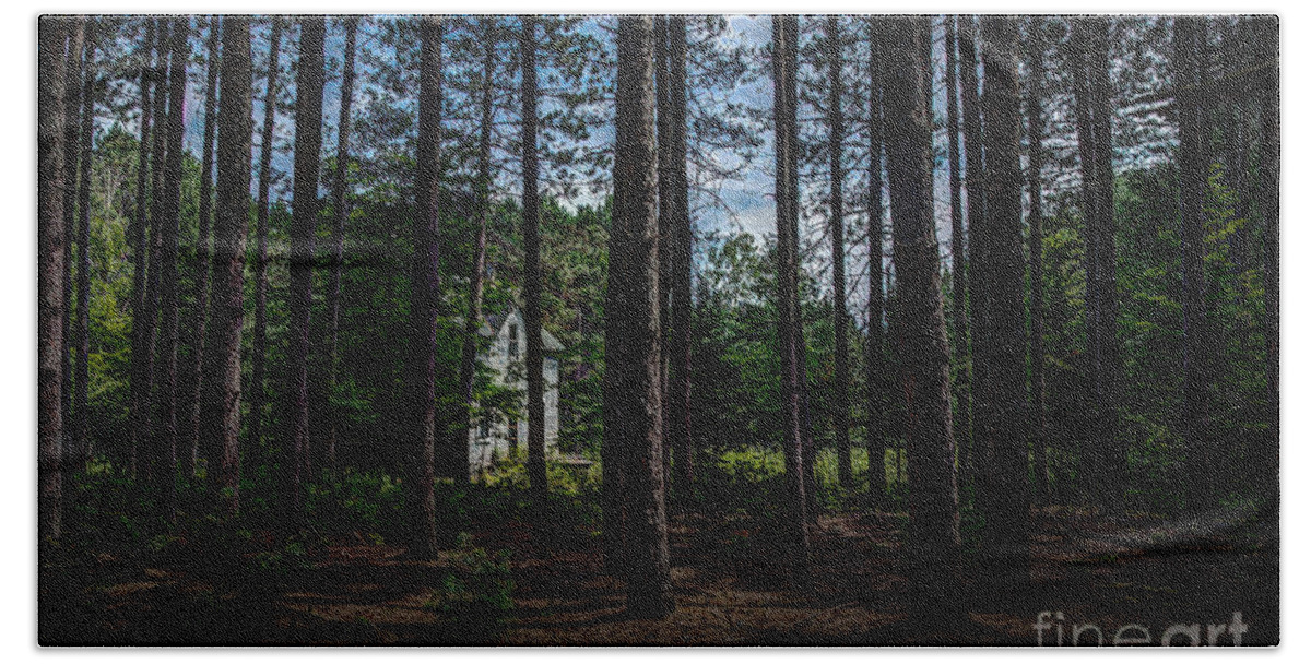 Abandoned Hand Towel featuring the photograph House in the Pines by Roger Monahan