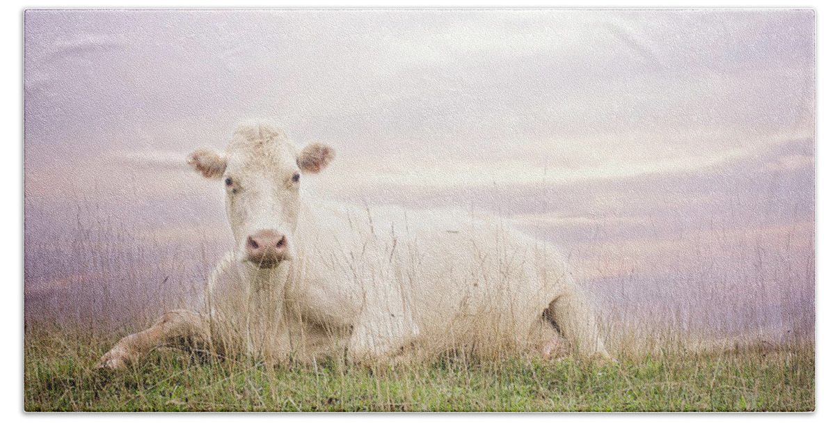 White Cow Bath Towel featuring the photograph How Now White Cow by Heather Applegate