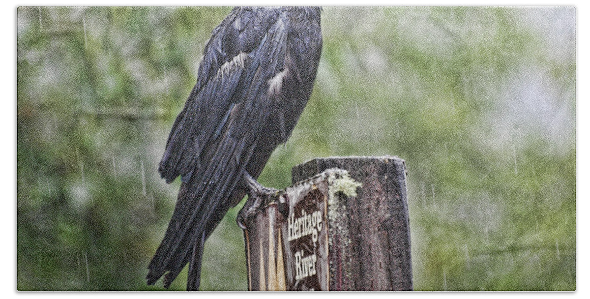 Crow Hand Towel featuring the photograph Humbled Crow by Vivian Martin