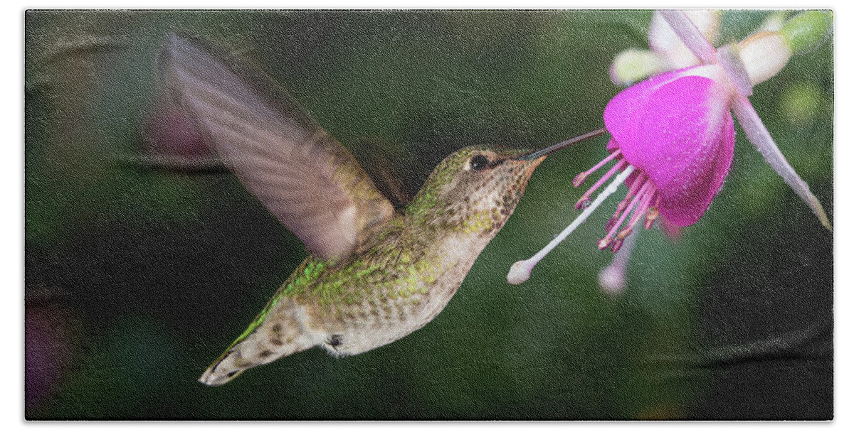 Action Hand Towel featuring the photograph Hummingbird and queen fuchsia by William Lee
