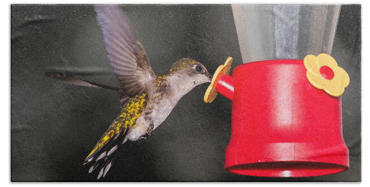 Hummingbird Bath Towel featuring the photograph Hummingbird Gets A Drink by Holden The Moment