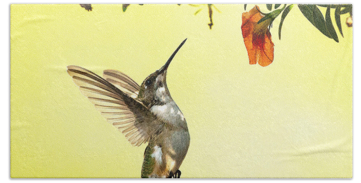 Hummingbird Hand Towel featuring the photograph Hummingbird Under the Floral Canopy by William Jobes