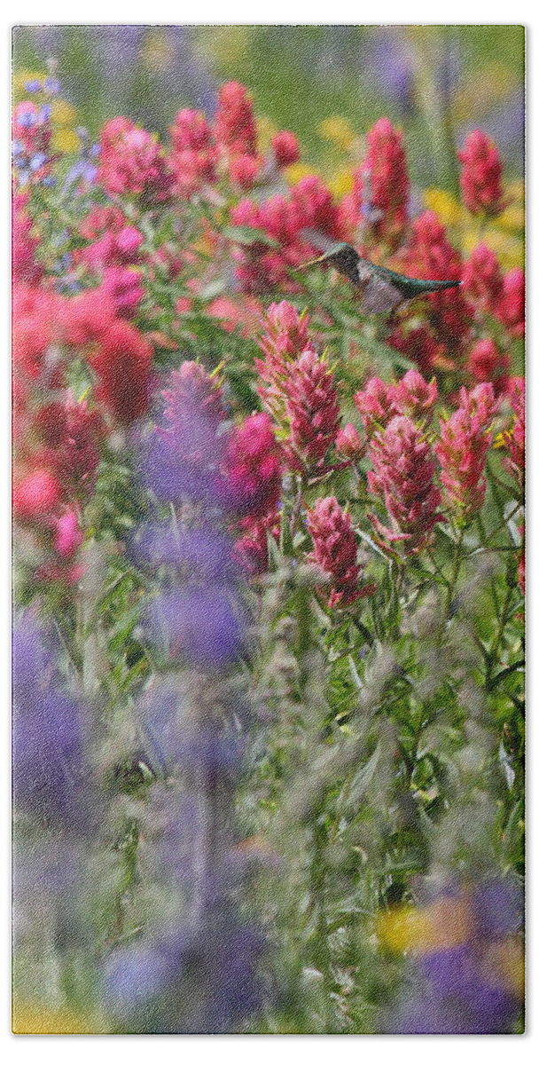 Wildflower Bath Towel featuring the photograph Hummingbird with Wildflowers by Brett Pelletier