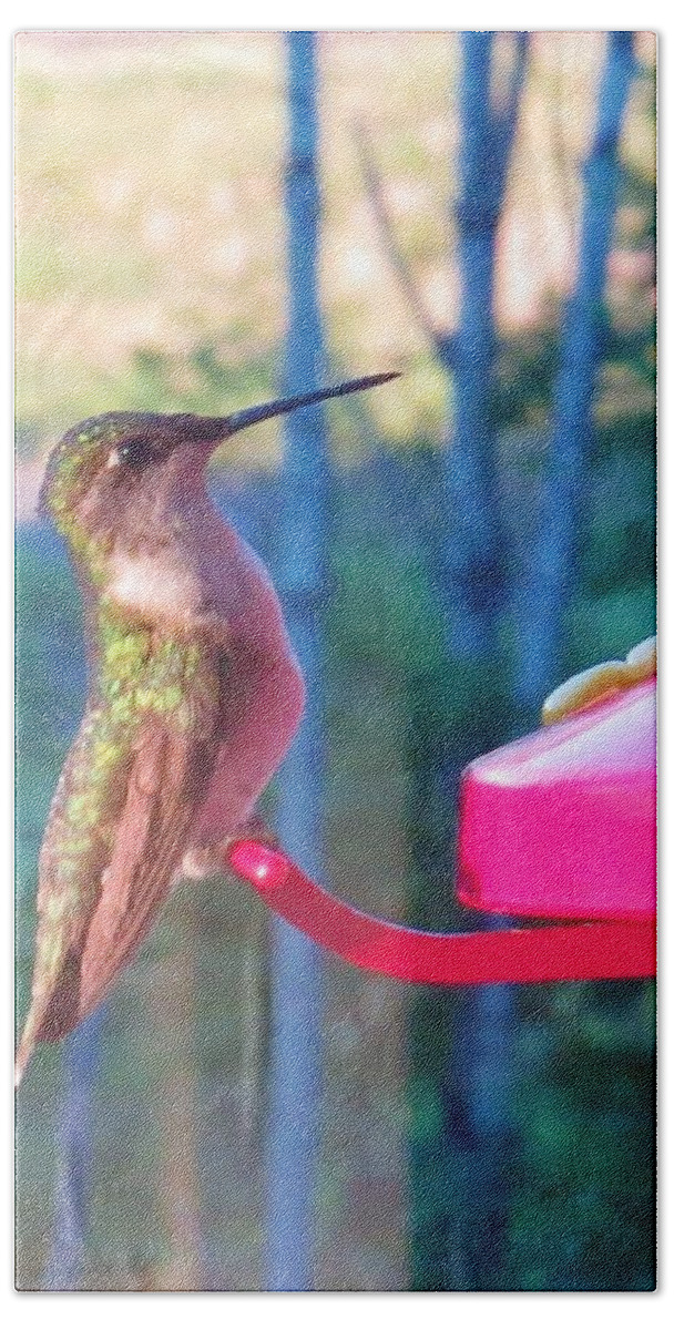 Birds Bath Towel featuring the photograph Hungry hummer by Jeanette Oberholtzer