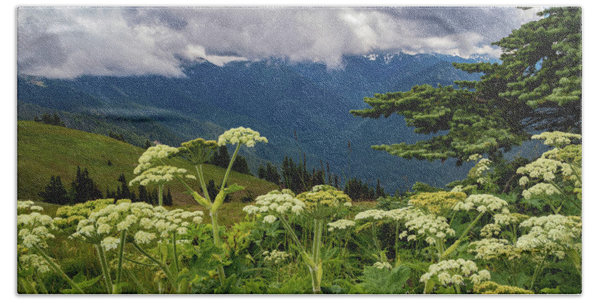 Hurricane Ridge Hand Towel featuring the photograph Hurricane Ridge Wildflowers and Clouds by Roslyn Wilkins