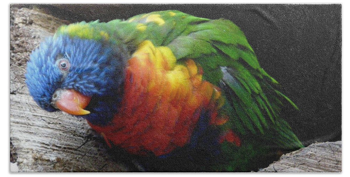 Bird Hand Towel featuring the photograph I Hear You by Valerie Ornstein