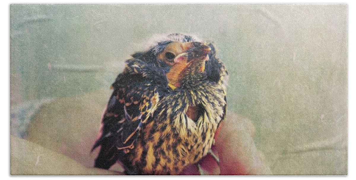 Bird Bath Towel featuring the photograph I Heart You by Aimelle Ml