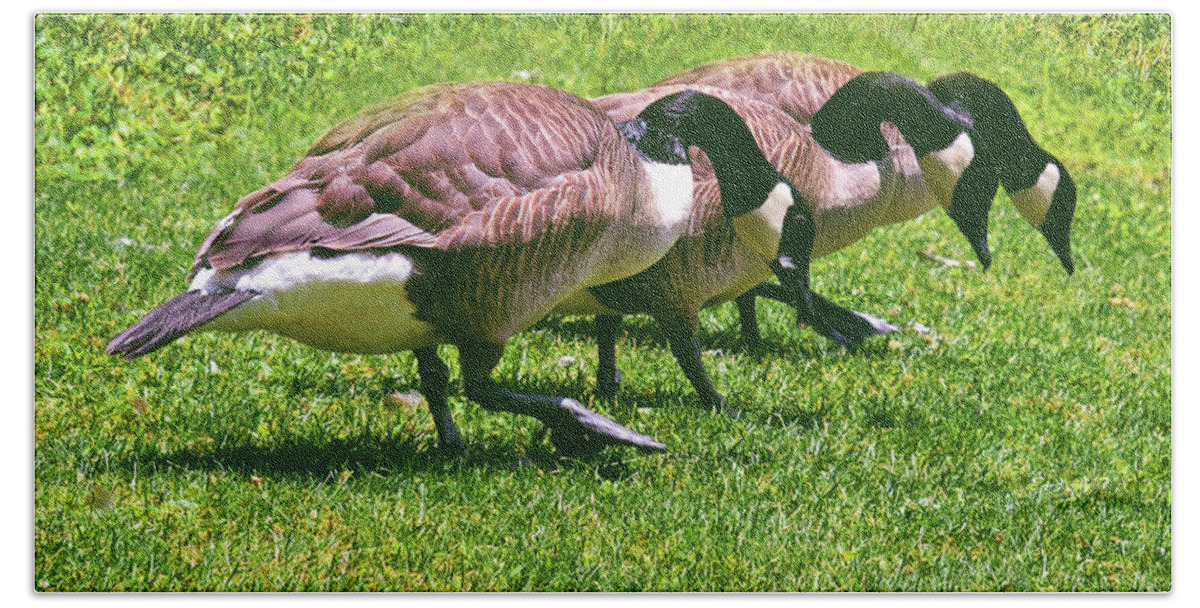 Geese Bath Towel featuring the photograph I Lost My Contact Lens 002 by George Bostian
