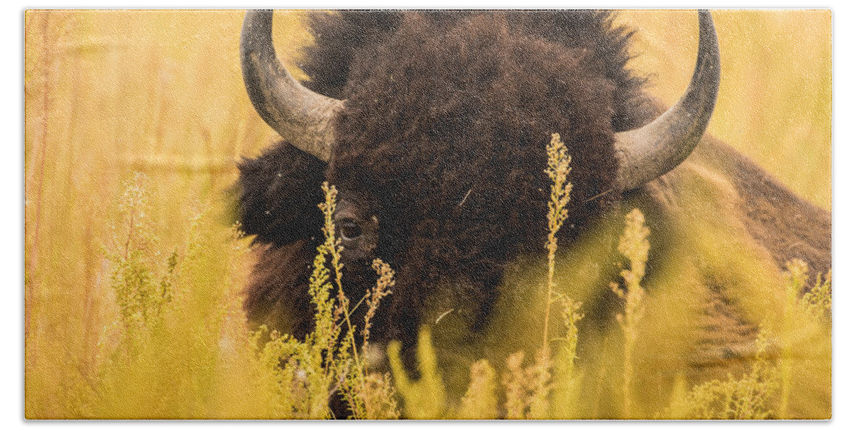Bison Bath Towel featuring the photograph I Spy A Bison's Eye by Mindy Musick King