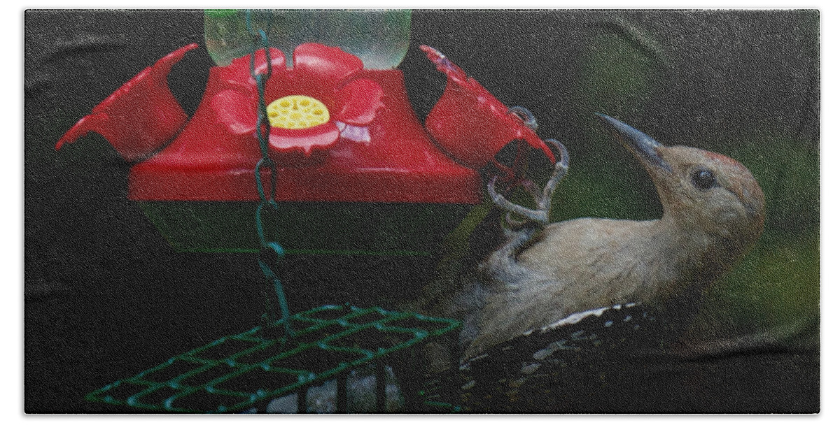 Red Bath Towel featuring the photograph I want to be a hummingbird by Robert L Jackson