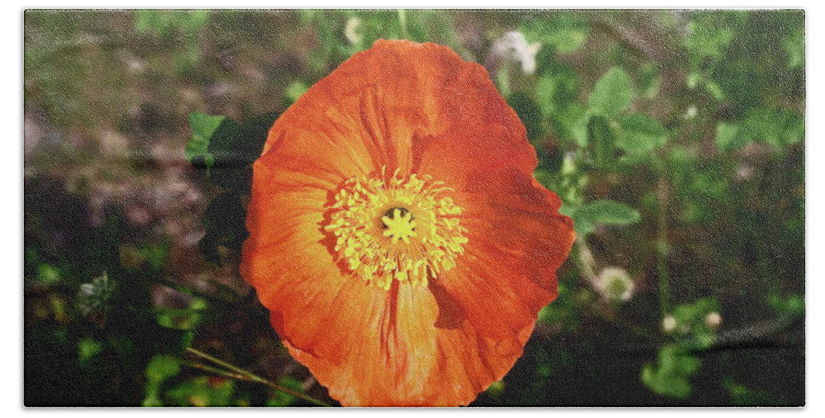 Iceland Poppy Bath Towel featuring the photograph Iceland poppy by Sally Weigand