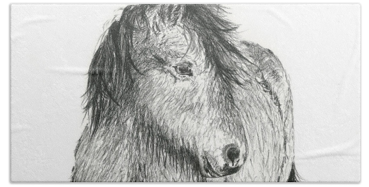 Horse Bath Sheet featuring the drawing Icelandic by Sarah Bevard