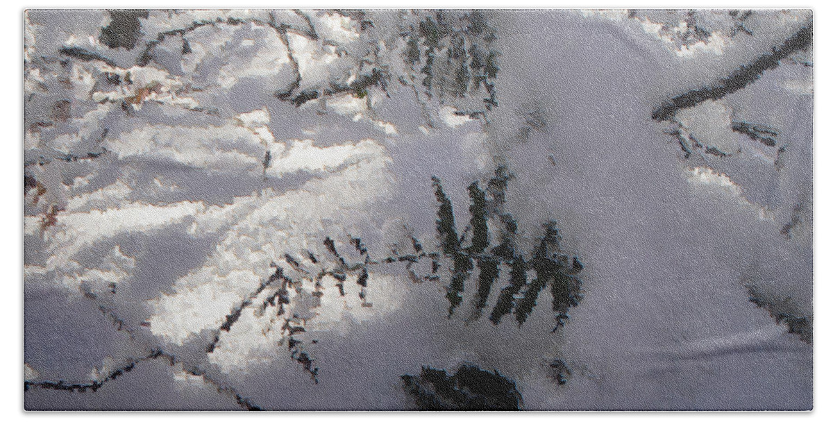 Winter Bath Towel featuring the photograph Icy Fern by Nicole Angell