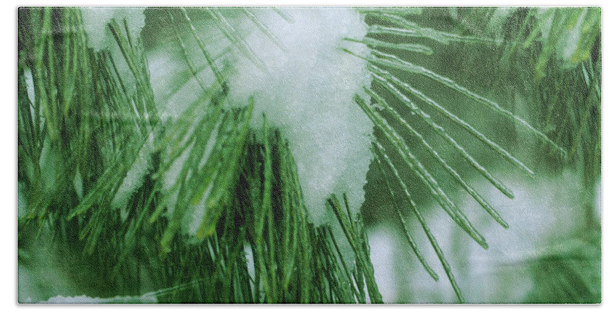 Winter Hand Towel featuring the photograph Icy Pine Needles by Smilin Eyes Treasures