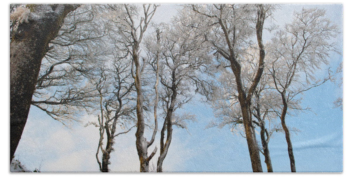 Snow Hand Towel featuring the photograph Icy Trees by Helen Jackson