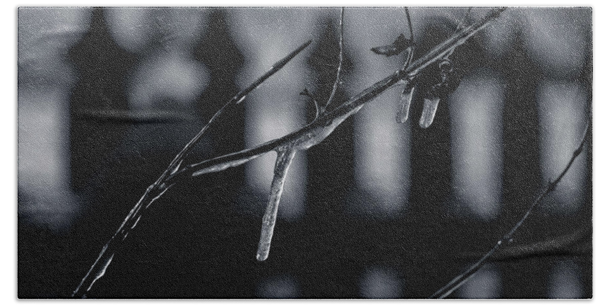 Weather Moods Bath Towel featuring the photograph Icy Twig by Karen Slagle