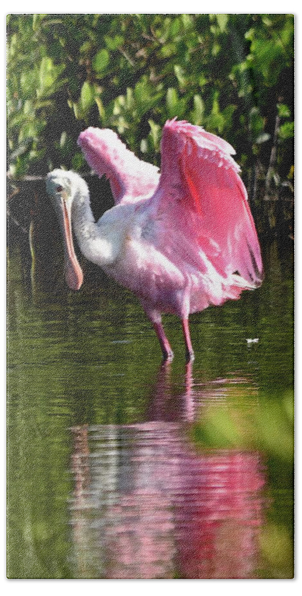 Spoonbill Bath Towel featuring the photograph I Believe I Can Fly by Carol Bradley