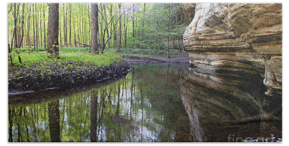 Canyon Hand Towel featuring the photograph Illinois Canyon In Spring Starved Rock State Park by Paula Guttilla