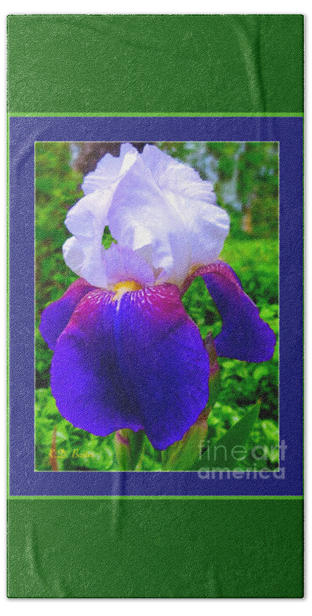 Tennessee State Flower Blue Purple Siberian Iris With Filtered Sunlight In Background Nature Scene Photography And Digital Flower Works Bath Towel featuring the painting I'm Dreaming of Irises by Kimberlee Baxter