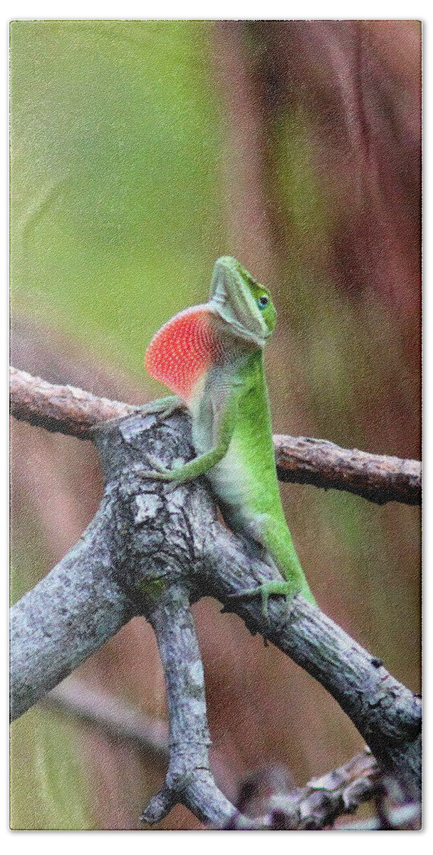 Green Anole Bath Towel featuring the photograph IMG_5288-003 - Green Anole by Travis Truelove