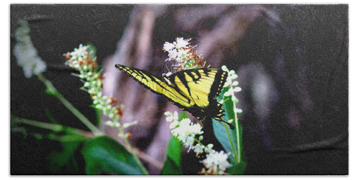 Tiger Swallowtail Butterfly Bath Towel featuring the photograph IMG_8960 - Tiger Swallowtail Butterfly by Travis Truelove
