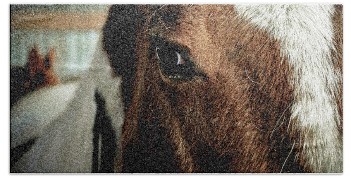 Clay Bath Towel featuring the photograph In a Horse's Eye by Clayton Bruster