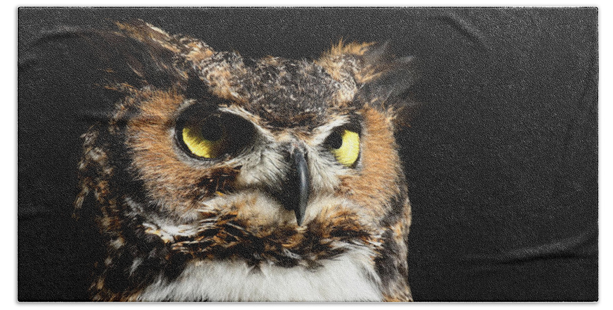 Great Horned Owl Bath Towel featuring the photograph In his domain by Heather King