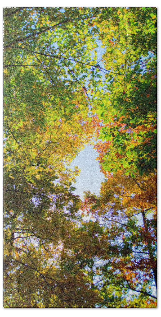 Fall Hand Towel featuring the photograph In Many Colors by Parker Cunningham