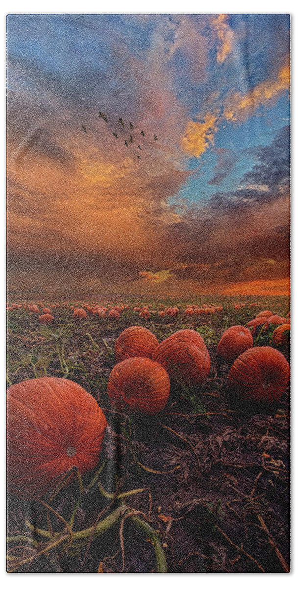 Summer Hand Towel featuring the photograph In Search Of The Great Pumpkin by Phil Koch