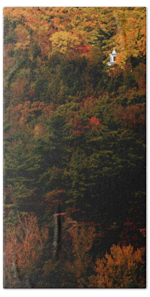 Minnesota Hand Towel featuring the photograph In the Autumn Forest by Hans Brakob