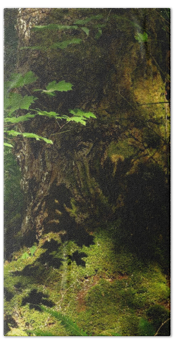 Morning Sunlight Reflections Bath Towel featuring the digital art In The Forest by I'ina Van Lawick