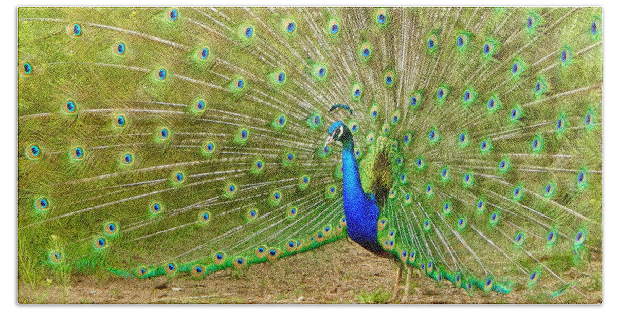 Photo Hand Towel featuring the photograph Indian Peacock by Dan Miller
